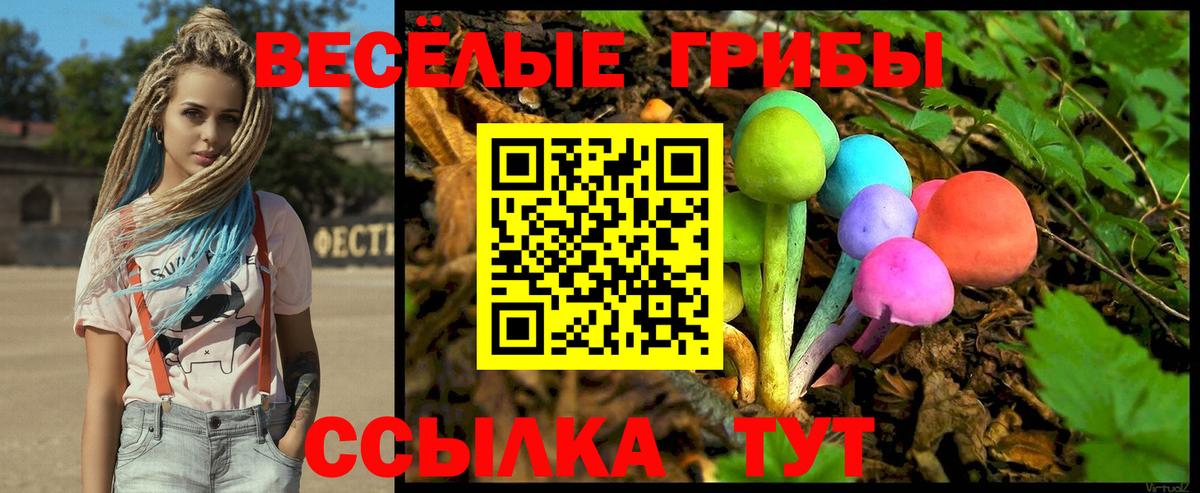 Галлюциногенные грибы MAGIC MUSHROOMS  Вход с VPN  Алексин 
